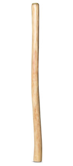Medium Size Natural Finish Didgeridoo (TW697)